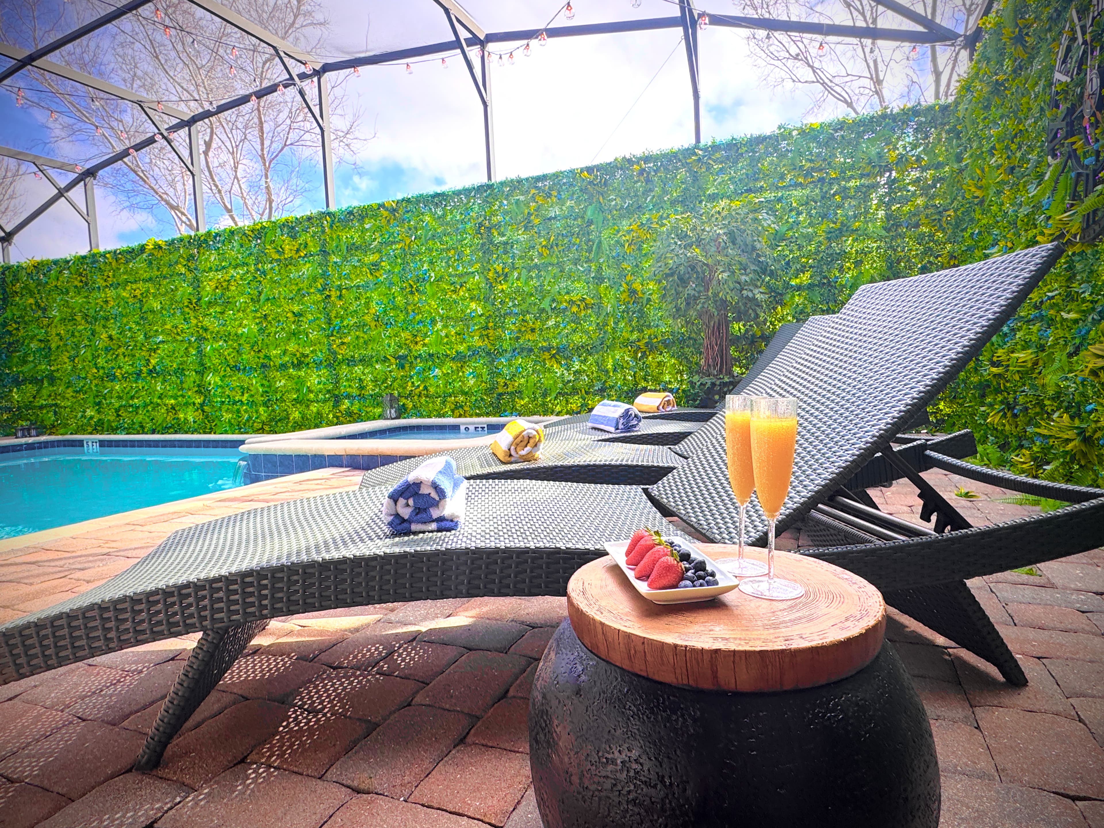 Pool & Courtyard — Day
